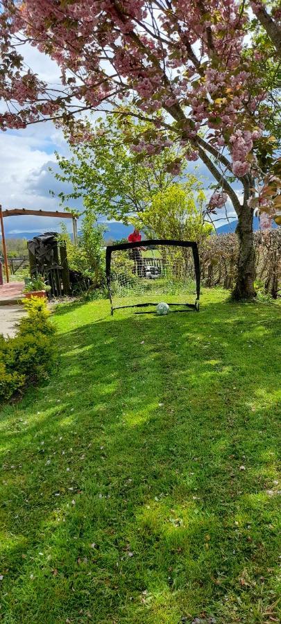 Annaswood B&B Cahir Εξωτερικό φωτογραφία