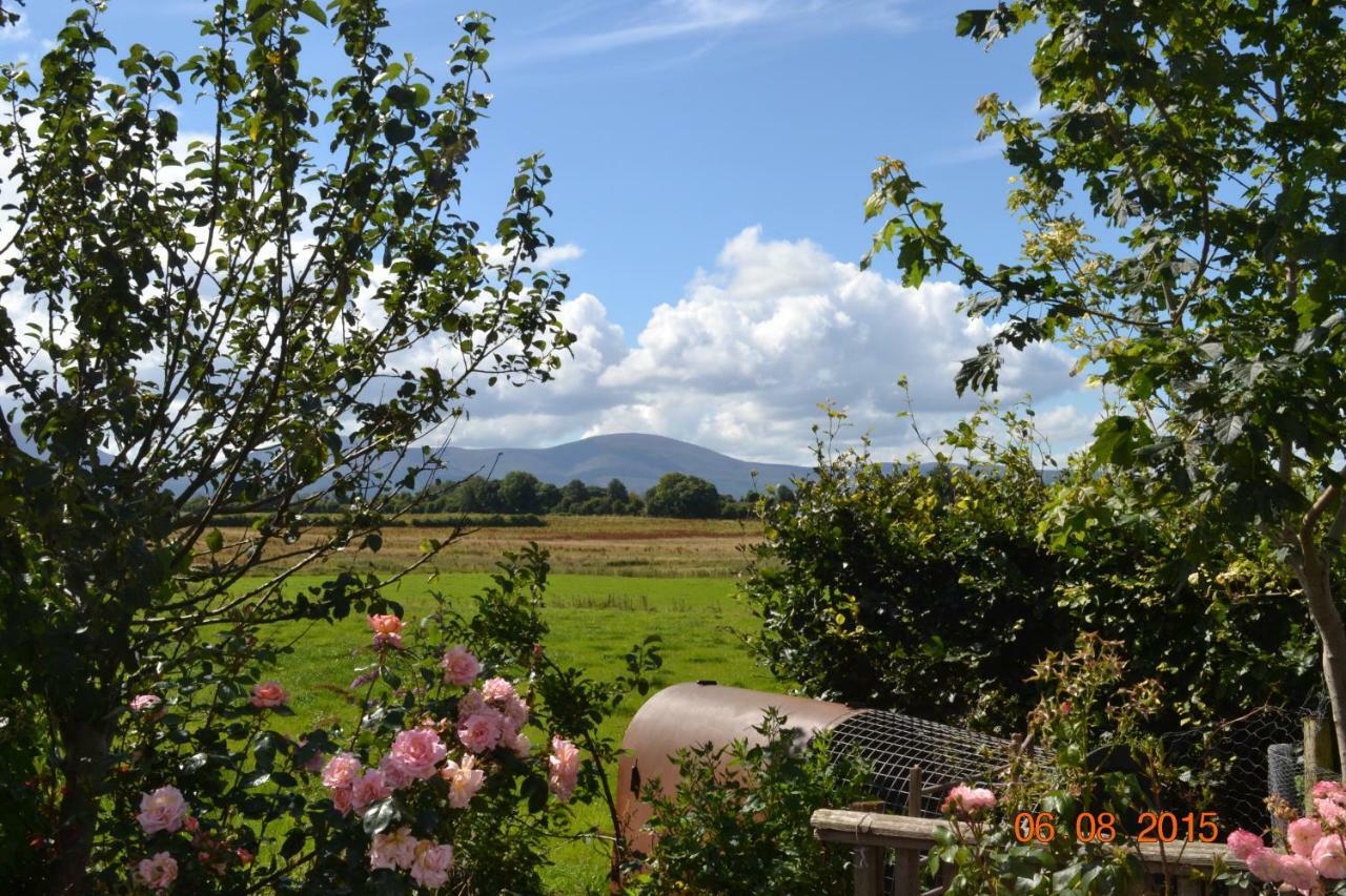 Annaswood B&B Cahir Εξωτερικό φωτογραφία